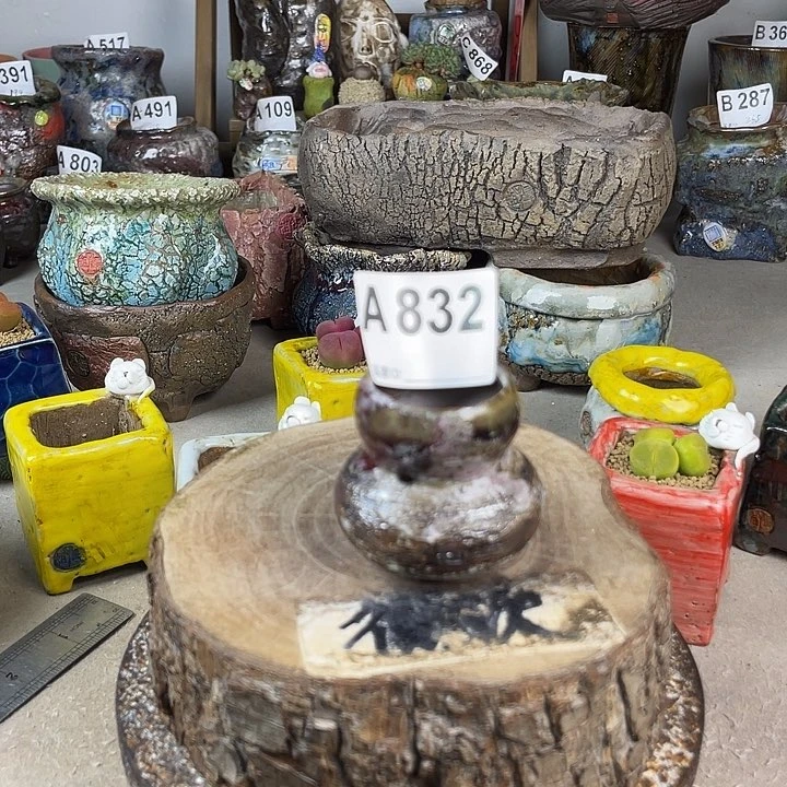 开播福利 陶瓷花盆 默认微次