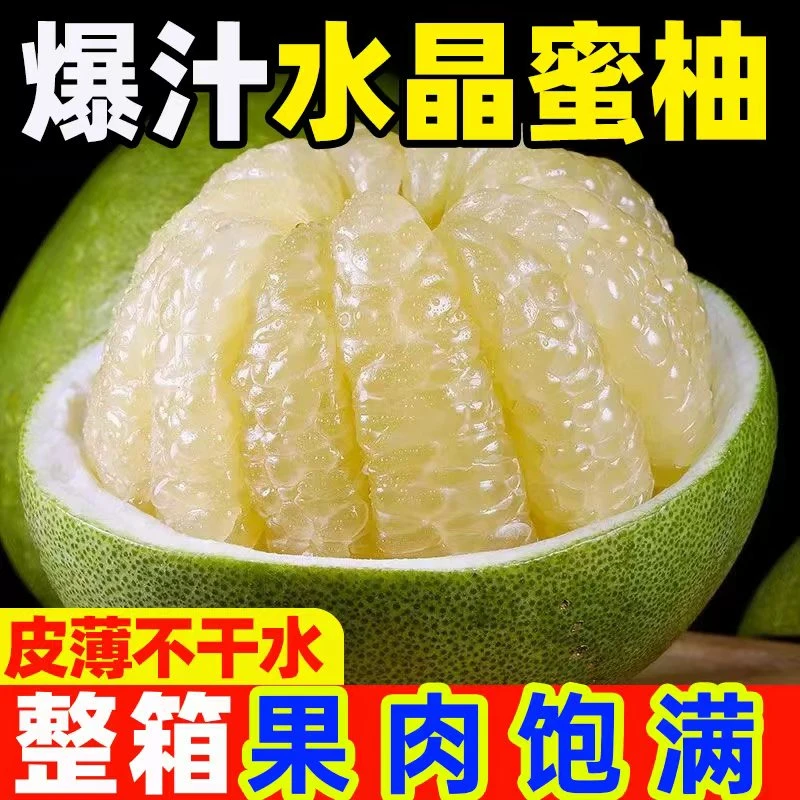 四川宝龙白心蜜柚饱满脆嫩酸甜多汁新鲜应季水果