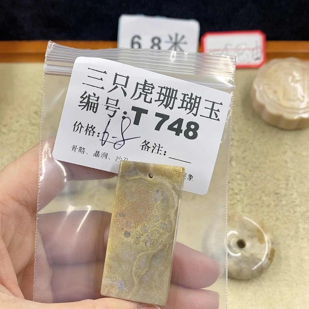 硅化珊瑚（珊瑚玉）1未镶嵌*‍****