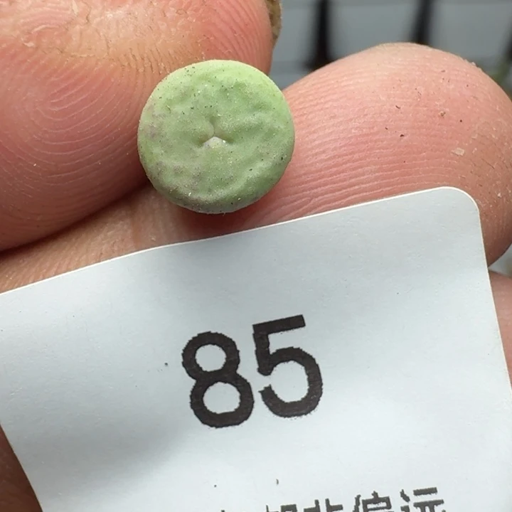 小红嘴奔。