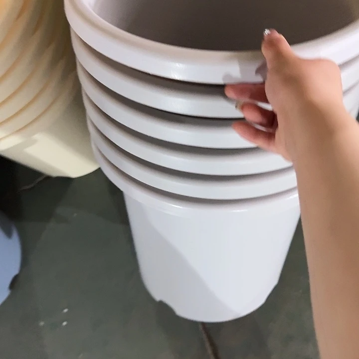 四季7号灰白无托6个特价微瑕
