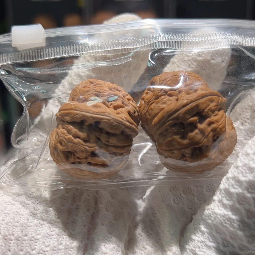 腿**神元宝  66668888