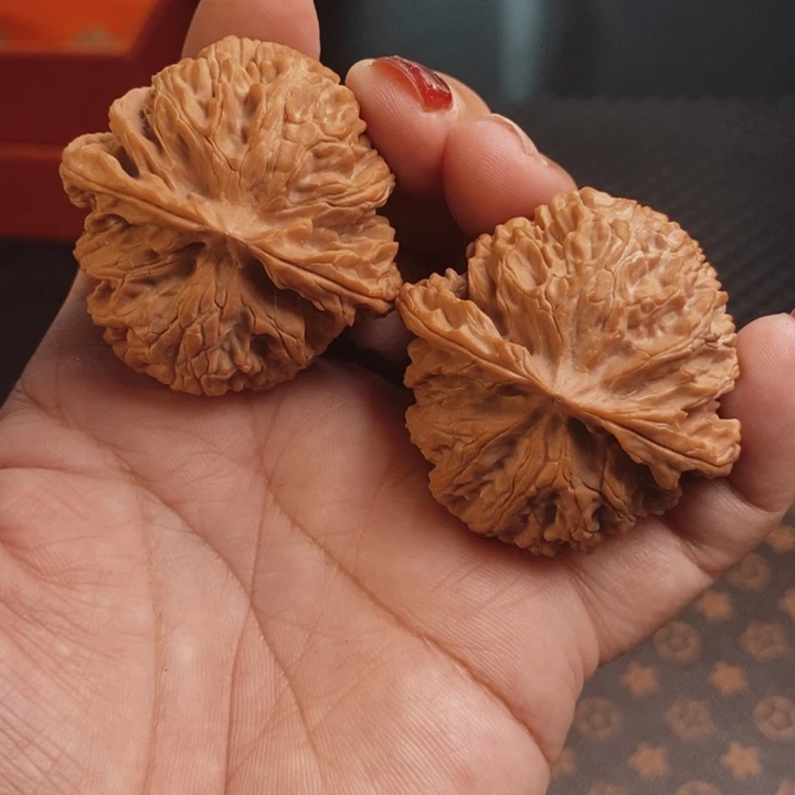 核桃苹果44尺核桃