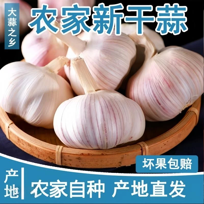 【农家新干蒜】满乡喜5斤大蒜头特干紫白皮蒜可种农家土蒜大蒜2/3斤