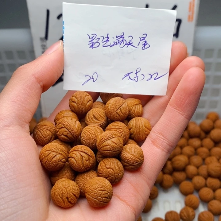 手串桃核12mm左右野生满天星20颗（不打孔）