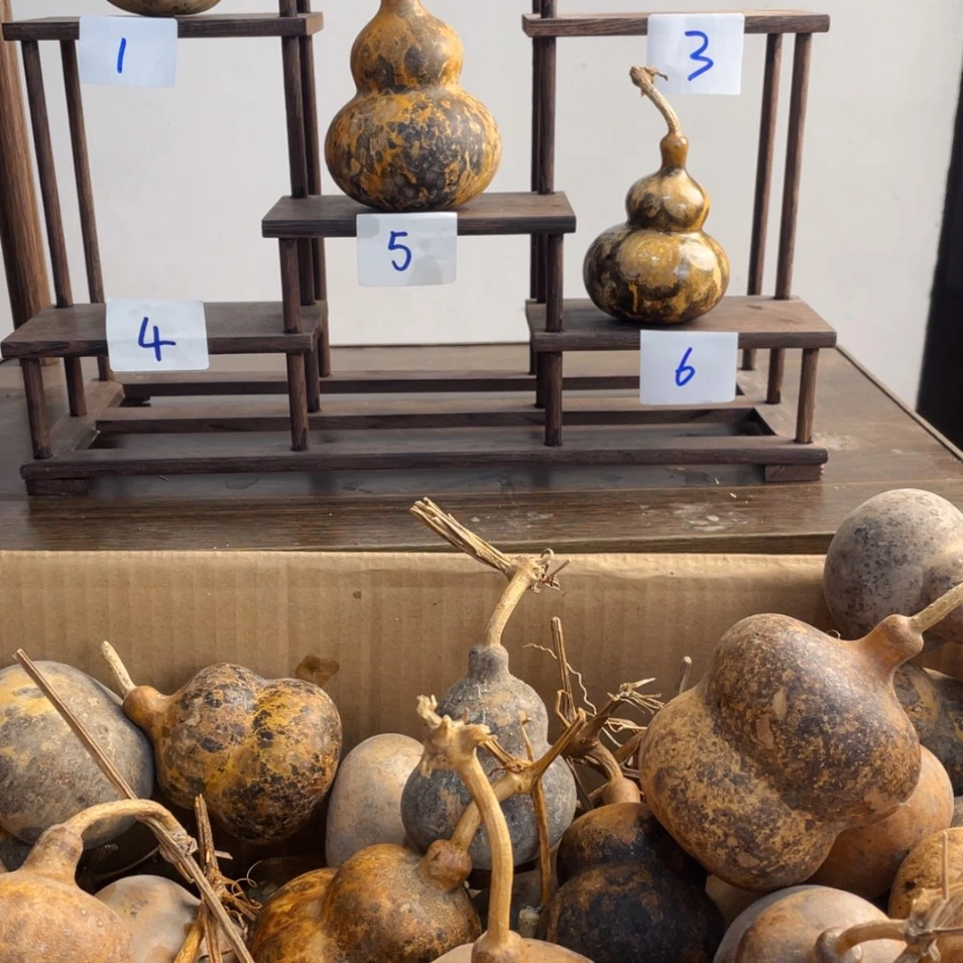 香榧木?****丶葫芦葫芦