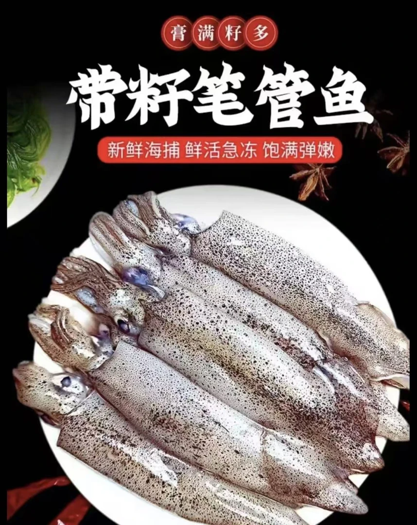 海兔 笔管鱼 4斤 （每包一斤）顺丰包邮液氮锁鲜发货
