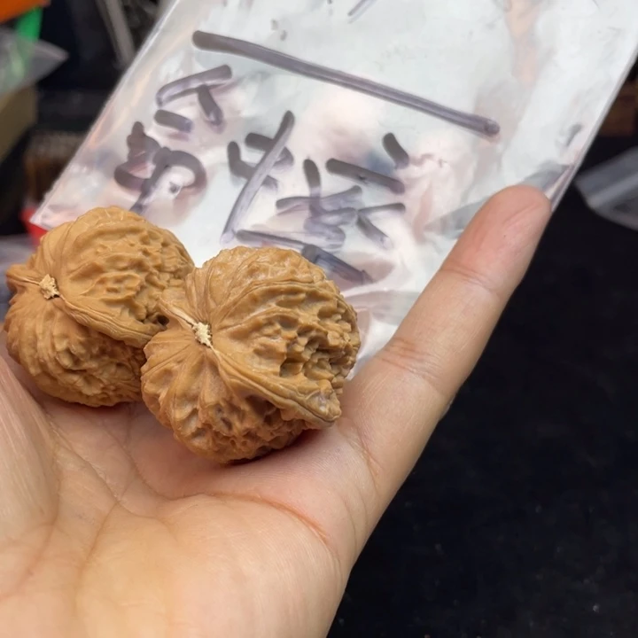 文玩核桃把件命*率白狮子