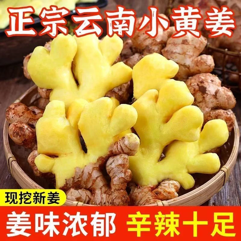 正宗云南小黄姜新鲜现挖生姜老姜批发辛辣味足香味浓郁整箱包邮