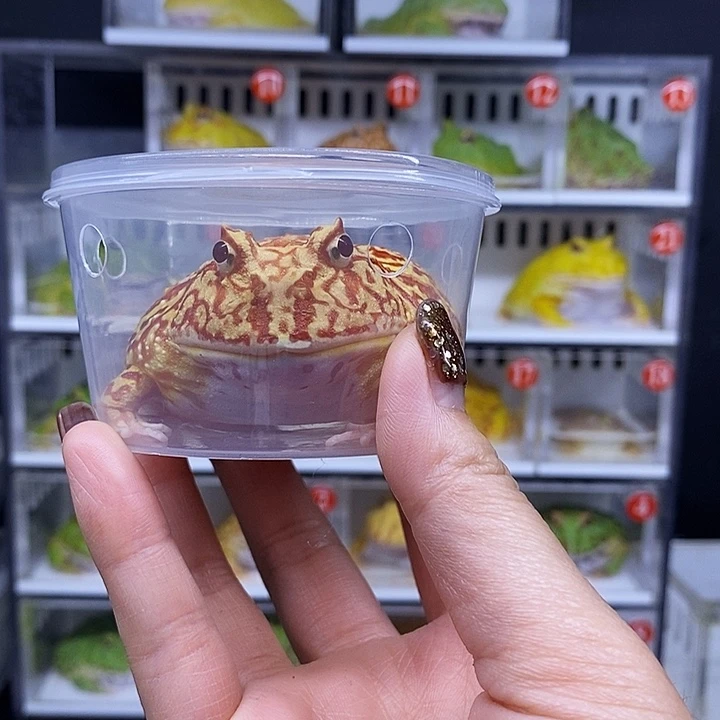 特价秒杀一切顺利