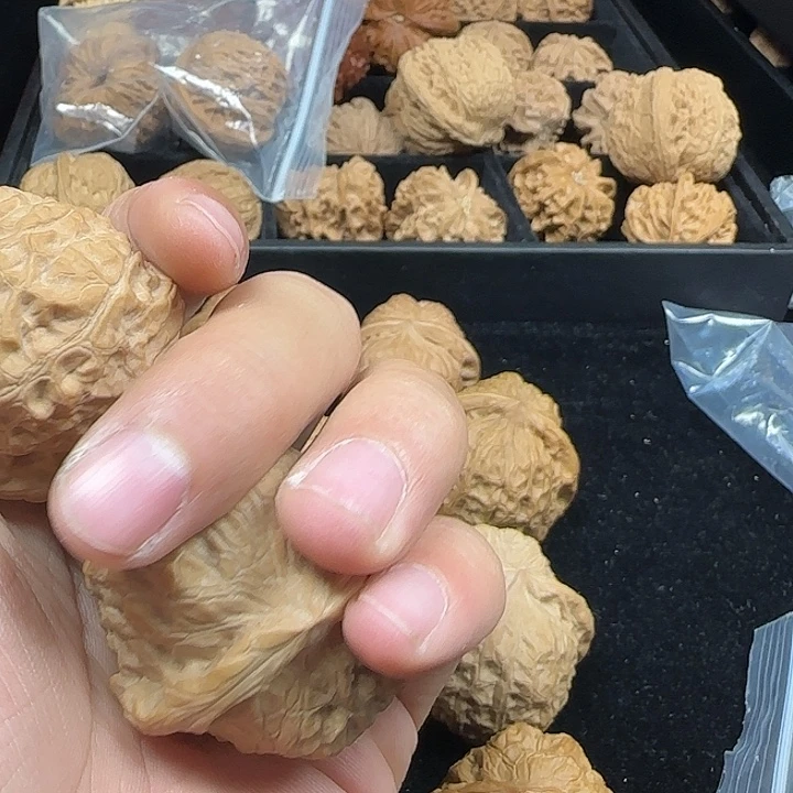 骐***骥龙脊菩提吊坠啊啊啊啊啊啊南瓜9