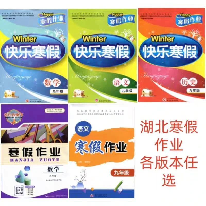 初中九年级寒假作业