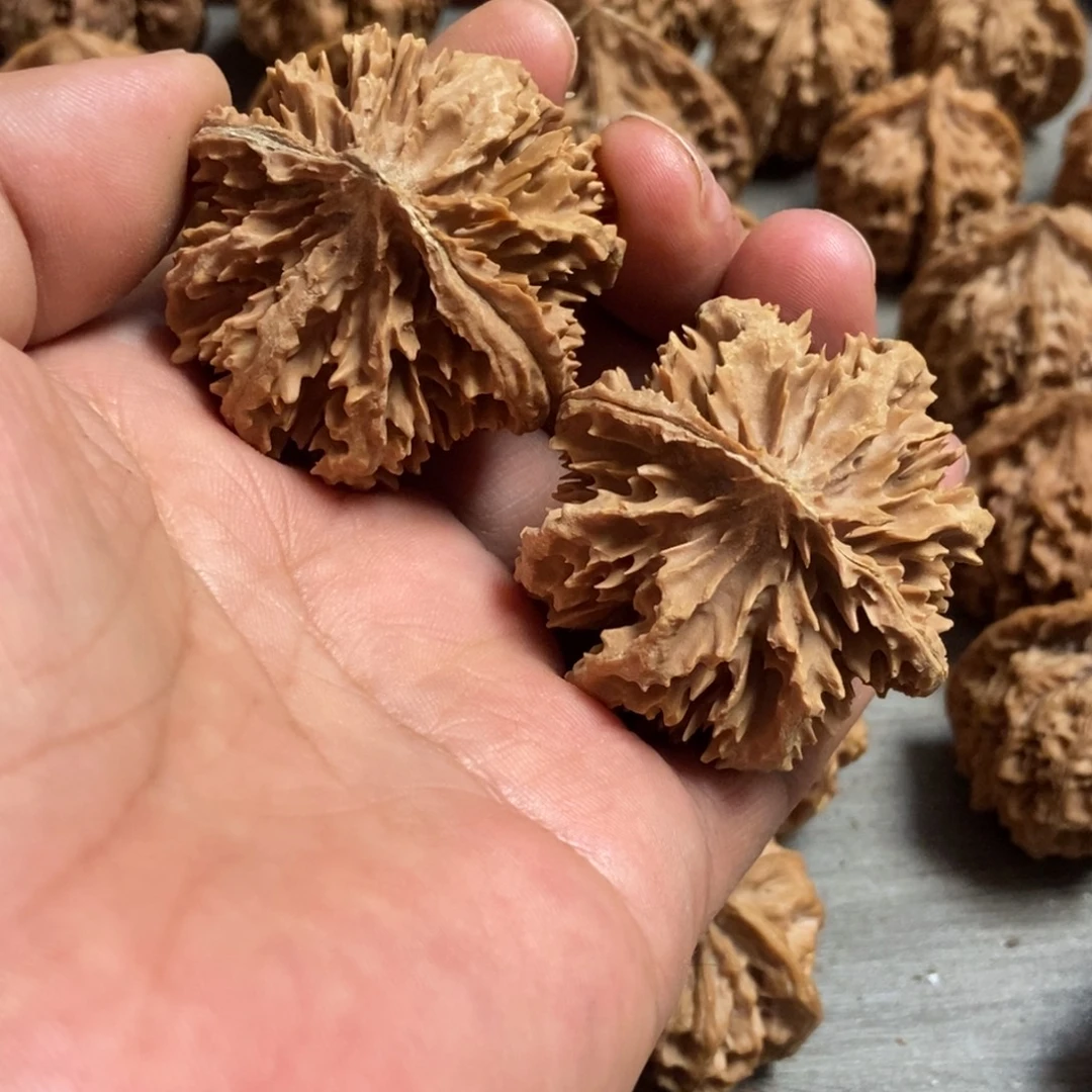 吊坠文玩核桃霸王花43尺