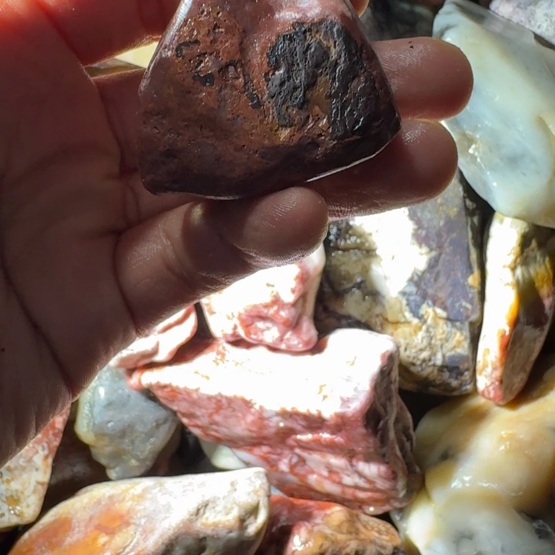 溜****寿山石889988888999