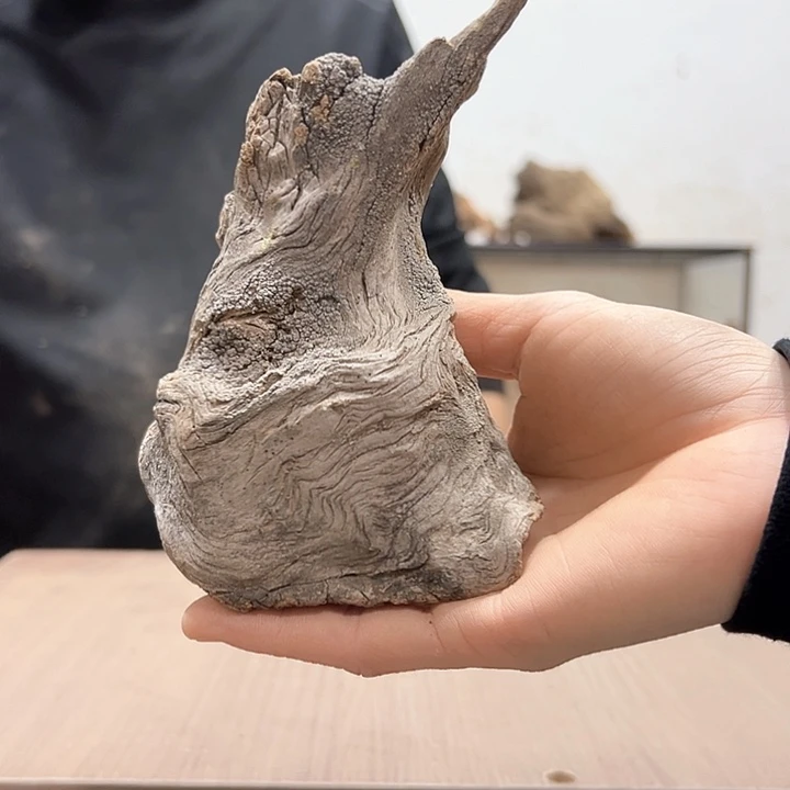 柏木四***༨文化等领域合作不断深化