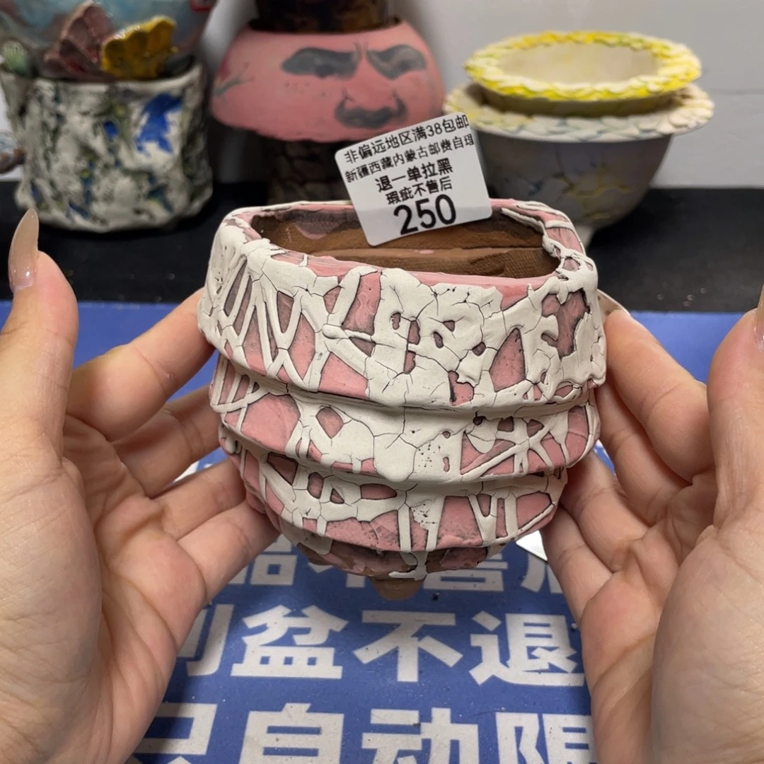 特价微瑕疵不退不换哦250