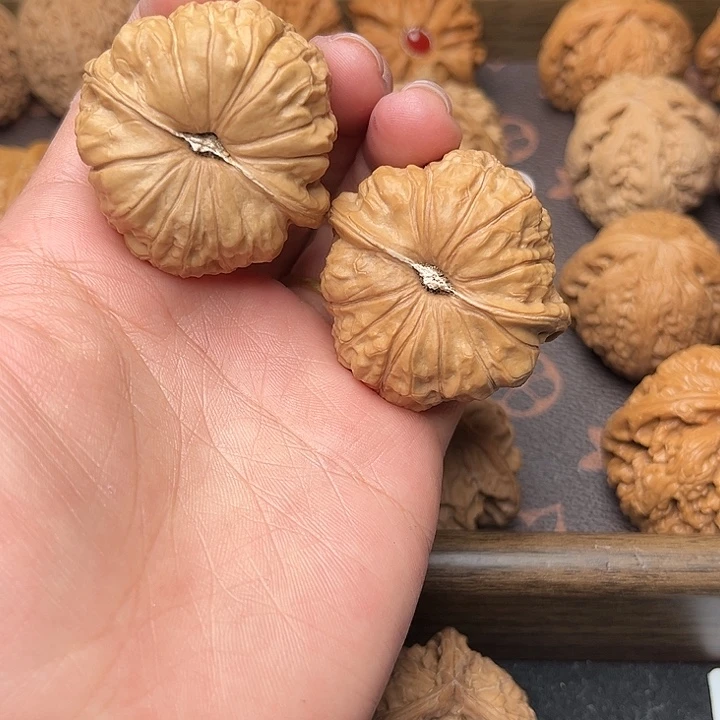 核桃41南瓜墩福利对