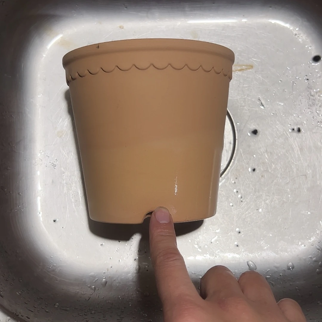 微瑕渐变花边14口13高1个