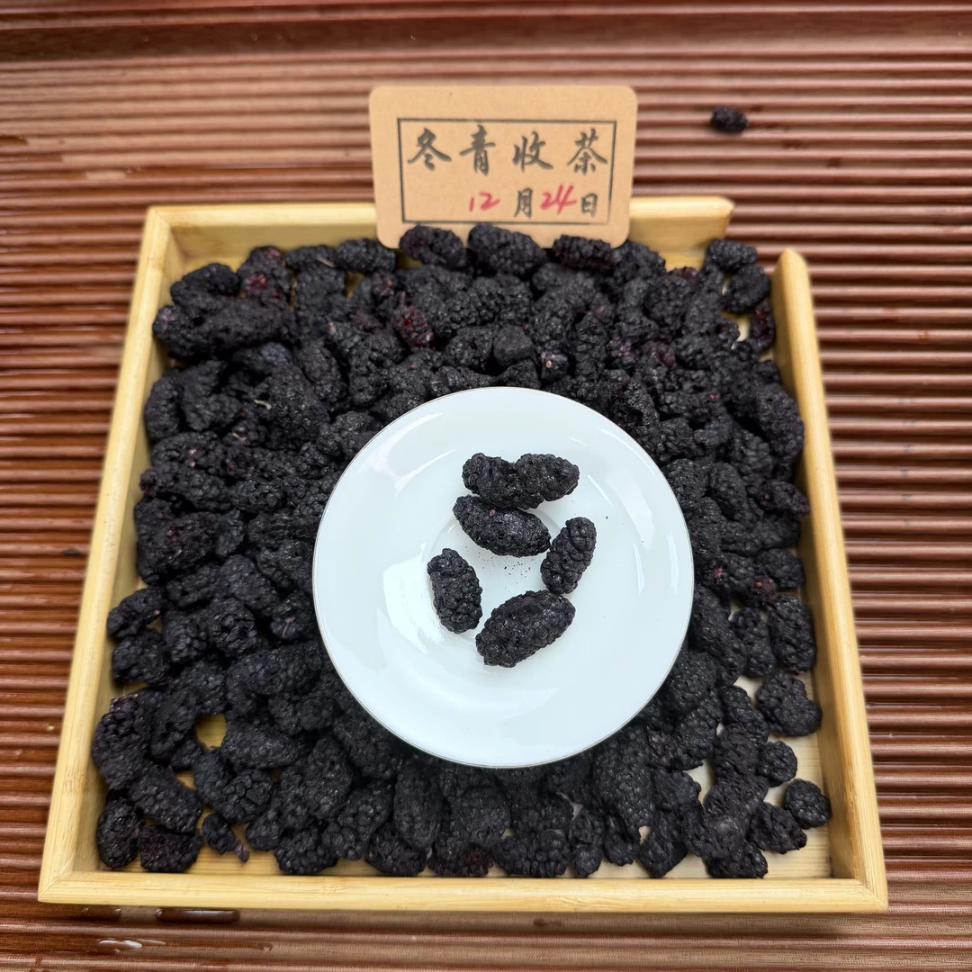 四川盐边冻干老树黑桑葚 酥脆可口 冬青滋补