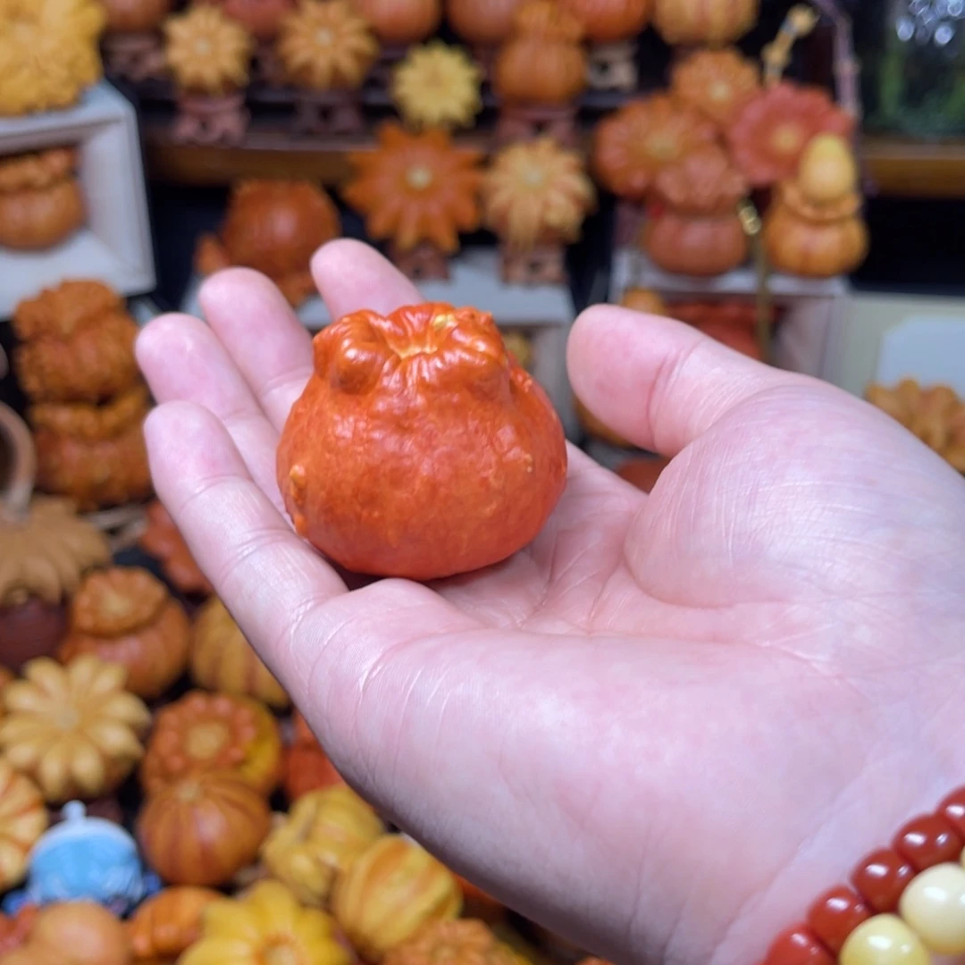 壳*葫芦葫芦葫芦葫芦