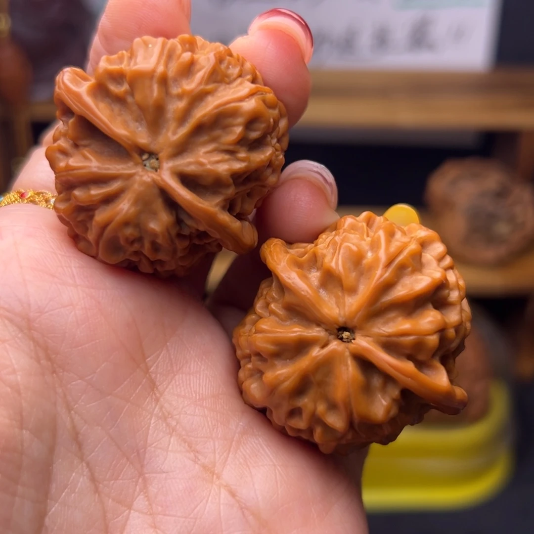 社***哥桃核把件龙纹福利