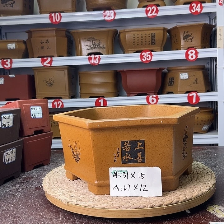 紫砂花盆蛇年大吉