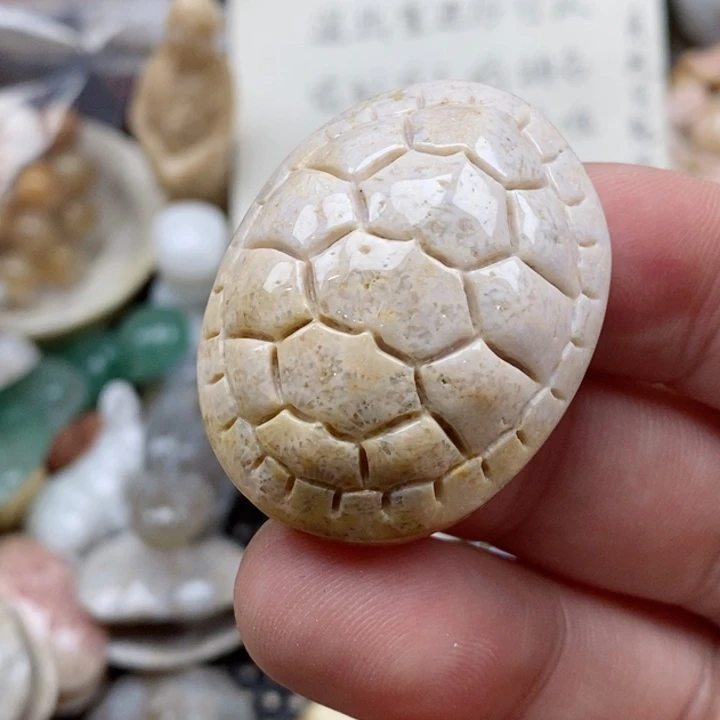 硅化珊瑚（珊瑚玉）未镶嵌颈饰C***兔