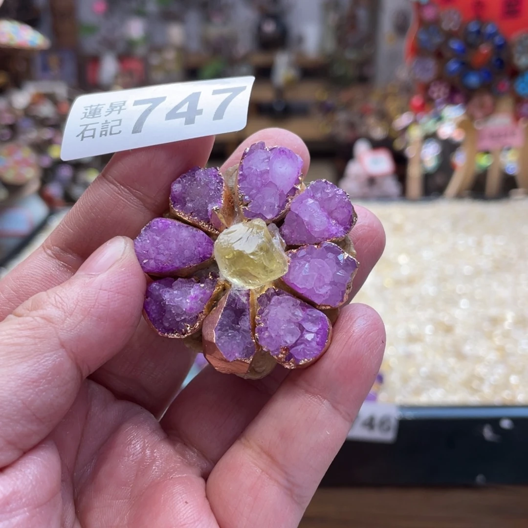 核桃木/黑胡桃（胡桃木）747