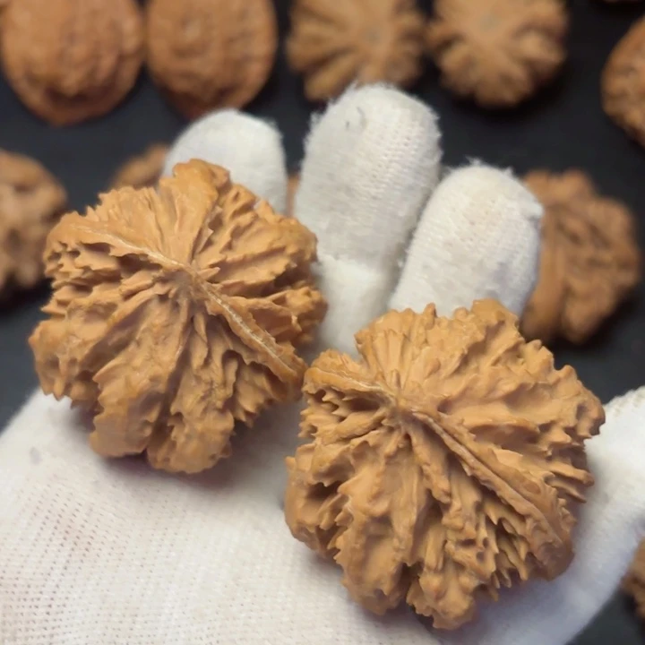 文玩核桃吊坠成****业秦岭野生灯笼38