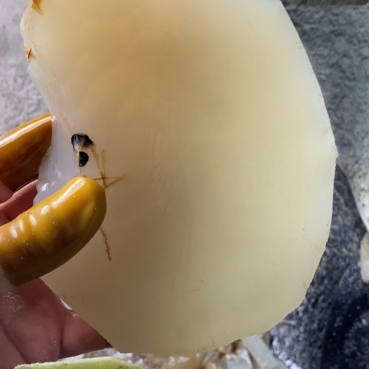 折***根定制玛瑙定制玛瑙