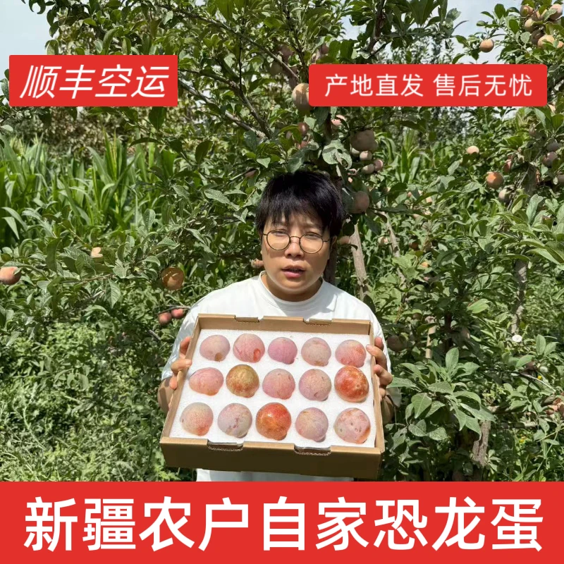 【顺丰空运】新疆直发恐龙蛋李子新鲜应季水果脆甜多汁孕妈水果礼盒