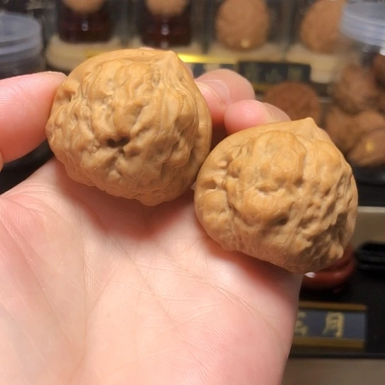 精品野生：古蟾货头