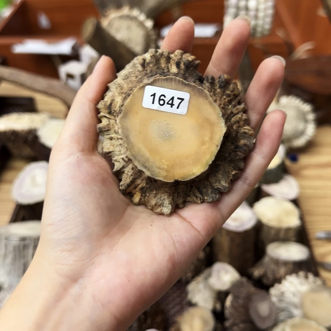 手串/手链鹿骨1647角帽