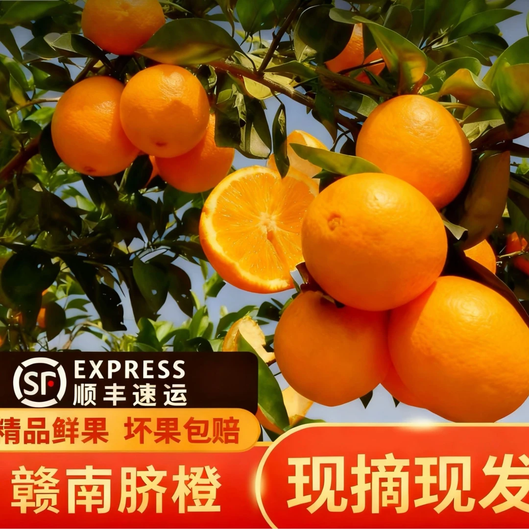 直播链接正宗江西赣南脐橙新鲜现摘产地直发