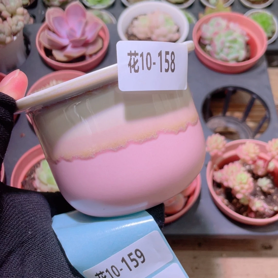 花利美10-158花盆