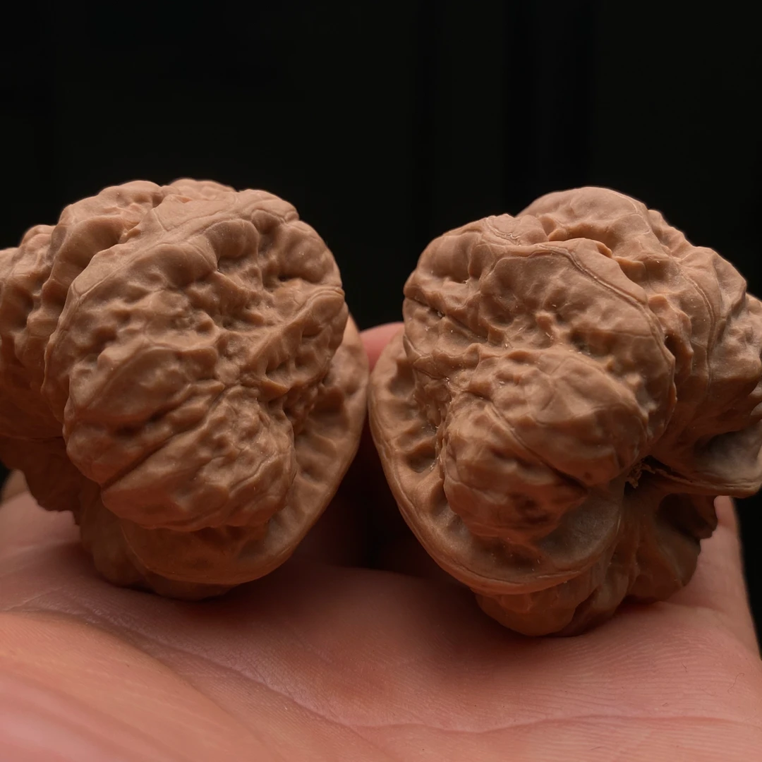 编号25143，边40肚42。延庆一代蛤蟆头，掐腰小腿小开背，性价比高！