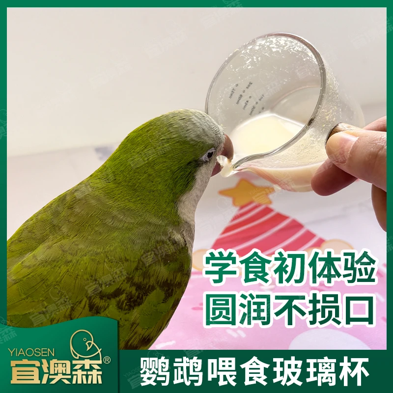 鹦鹉喂奶杯雏鸟幼鸟奶粉喂食勺喂奶器手养鸟量杯玄凤虎皮牡丹