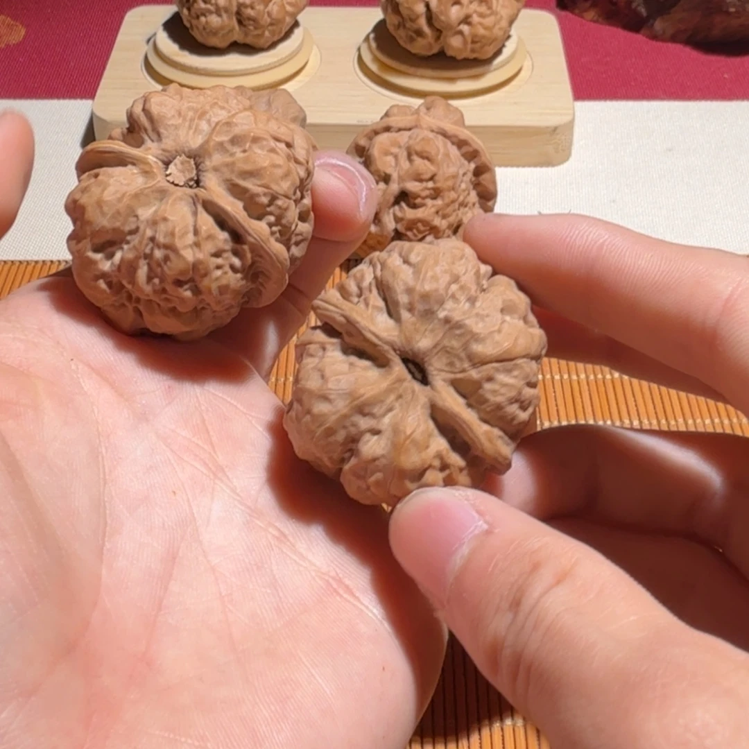 哥***斯大叶紫檀（黑酸枝木类）蛤蟆头B04