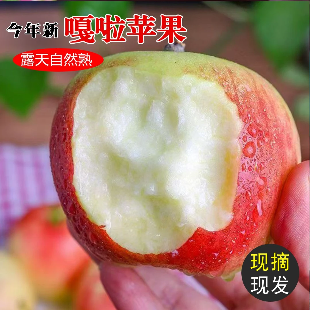 山西嘎啦粉面苹果3/5/8斤应季新鲜小苹果沙甜糯脆粉两吃产地直发