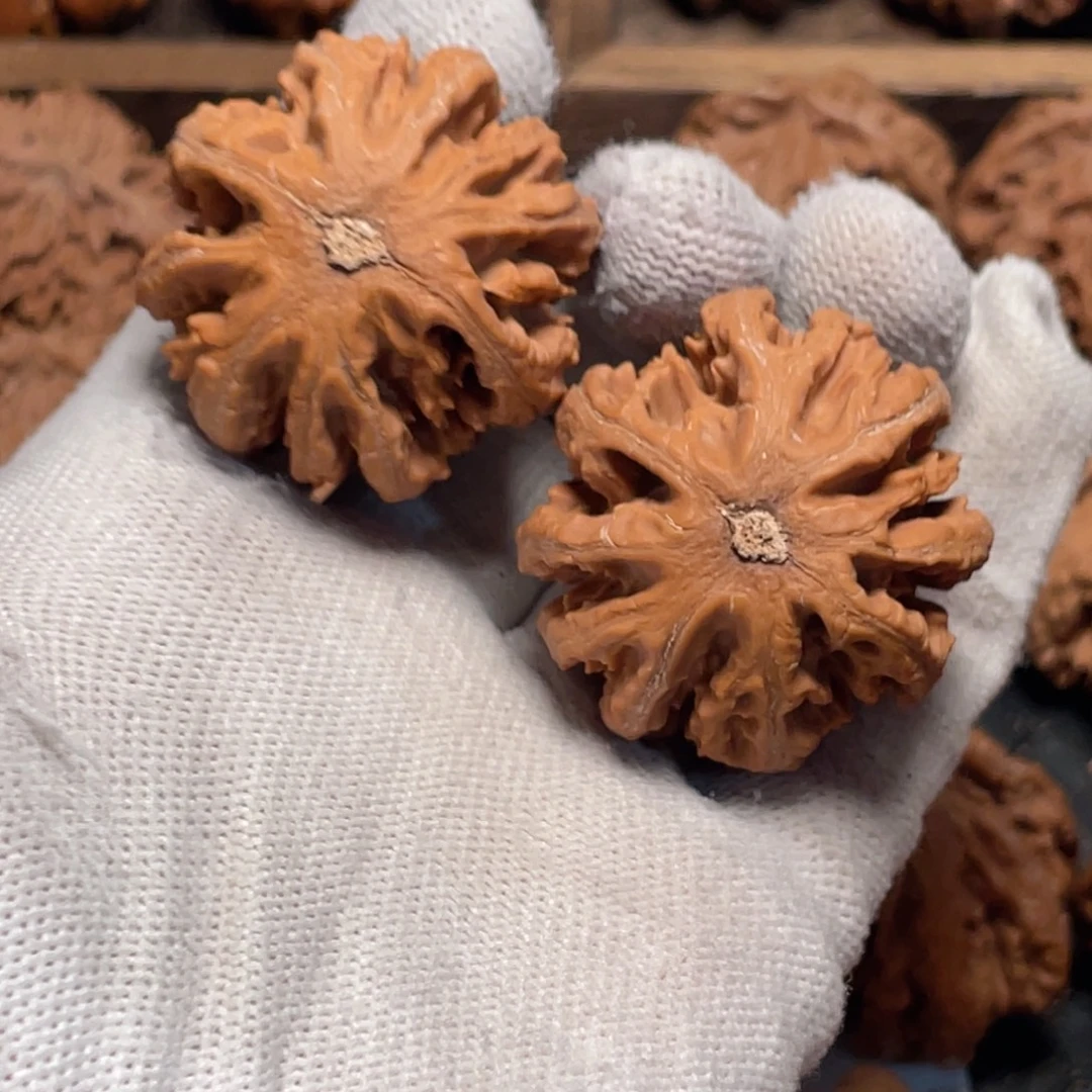 氵***条桃核吊坠31秦岭灯笼野生小众