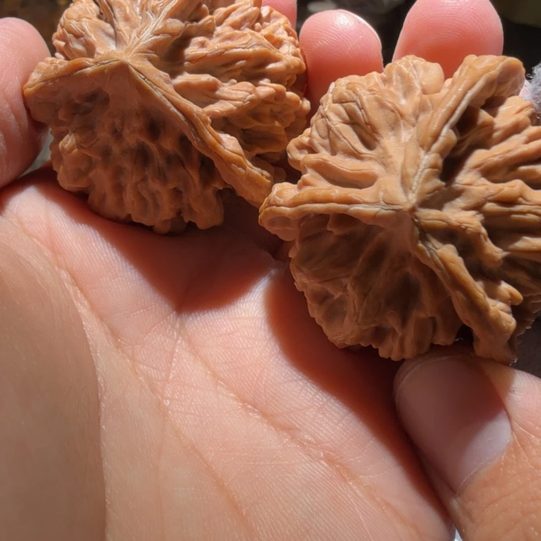 文玩核桃把件帝王三棱