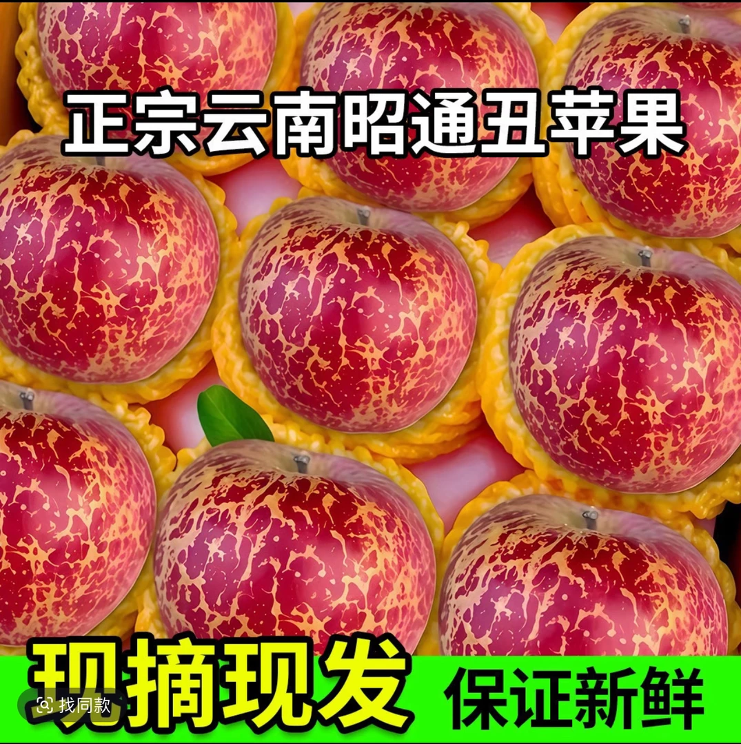 现摘现发云南昭通冰糖心孕妇水果5/10斤应季新鲜云南昭通丑苹果