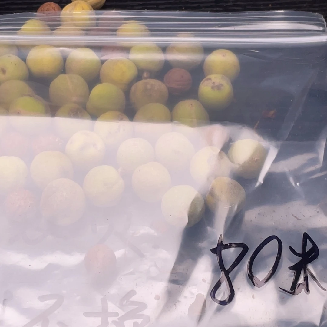 【闪购商品】核桃其他私人定制不退不换80