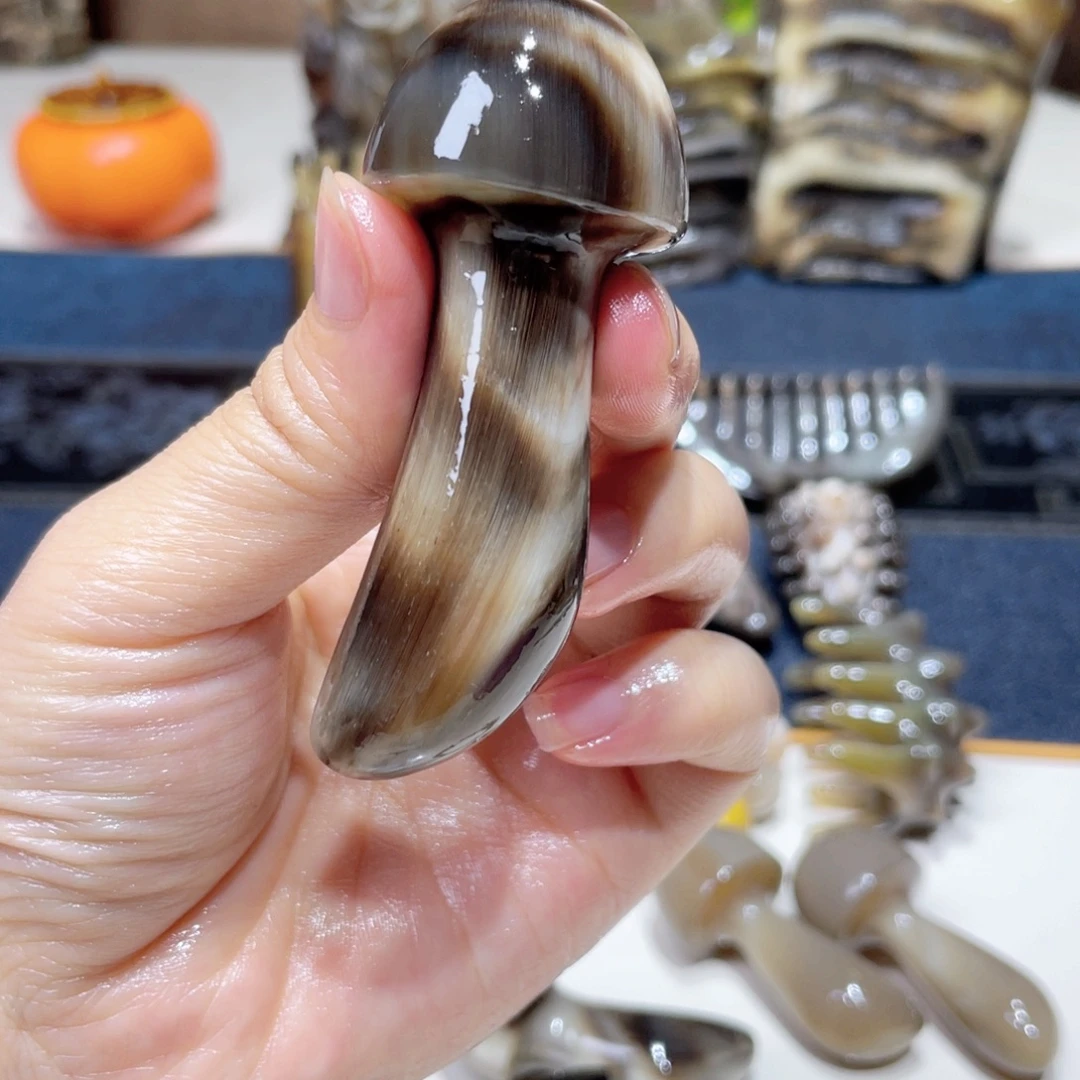 折后价 黑金刚蘑菇