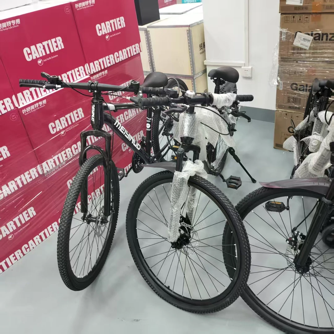 自行车 颜色款式随机DJH