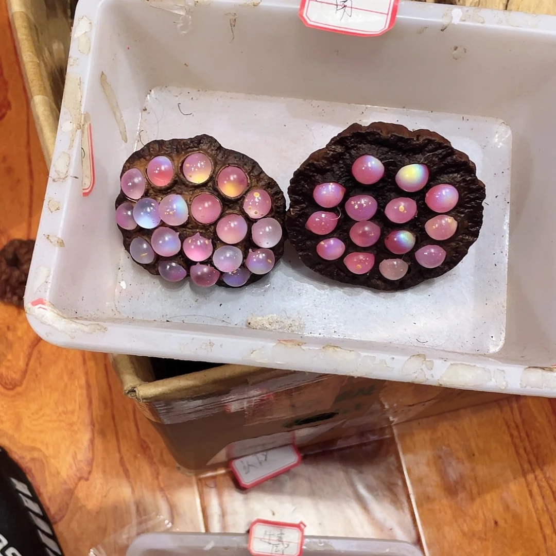 铁合金锆石一*哈哈哈好有感觉哈哈笑