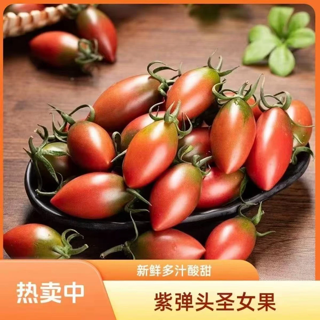 福建现摘紫弹头迷彩小番茄新鲜圣女果酸甜多汁自然熟水果