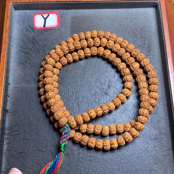 金刚菩提吊坠菩提