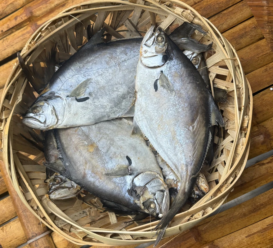 潮汕大斗鲳鱼饭鱼打冷鱼饭乌鲳鱼饭竹筐现做鲜甜