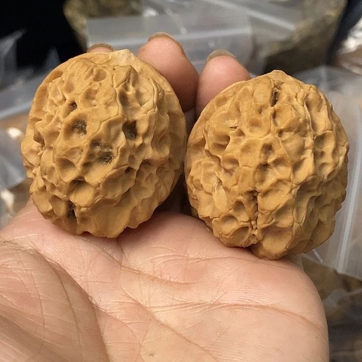 文玩核桃把件云南铁核桃基地21